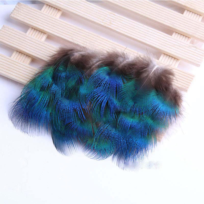 孔雀羽翎進口代理