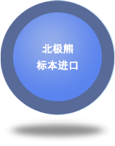 北極熊標(biāo)本進(jìn)口