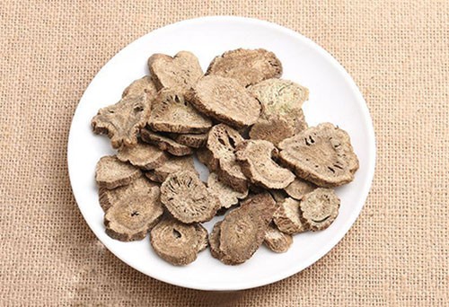 云木香代理出口