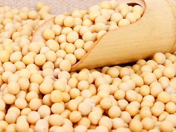 進口大豆檢驗檢疫要求