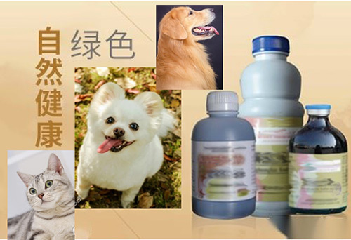 進(jìn)口獸藥手續(xù)代理