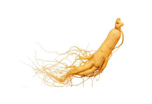 西洋參進(jìn)口批文手續