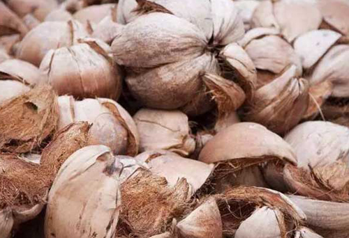 椰殼進口手續(xù)代辦