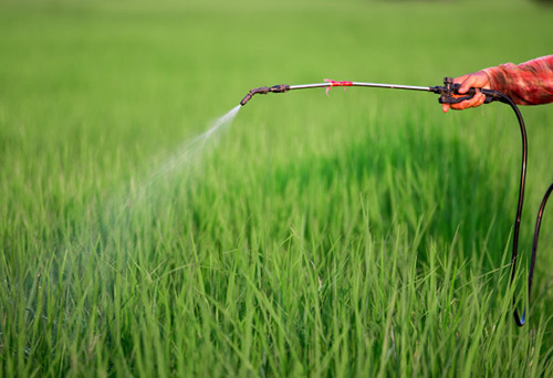 進(jìn)口農(nóng)藥手續(xù)代理