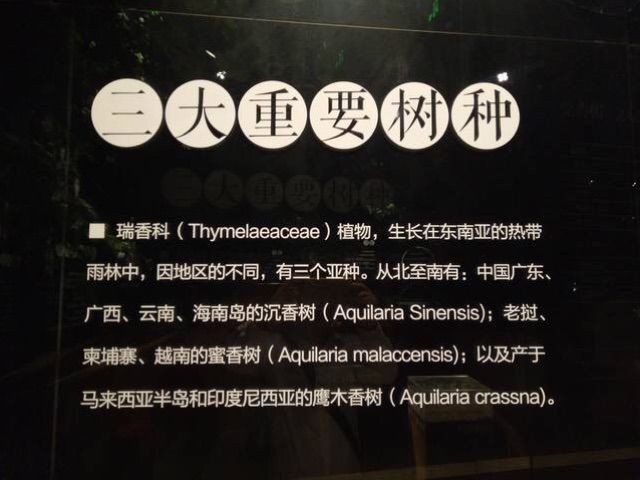 沉香的加工生產(chǎn)流程