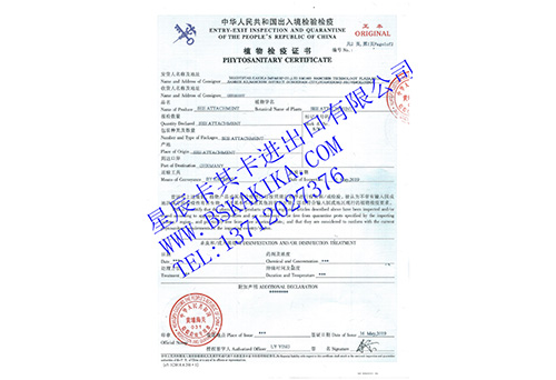 植物檢疫證書辦理