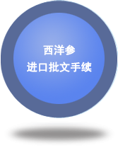 西洋參進(jìn)口批文手續(xù)