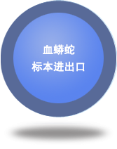 血蟒蛇標(biāo)本進(jìn)出口