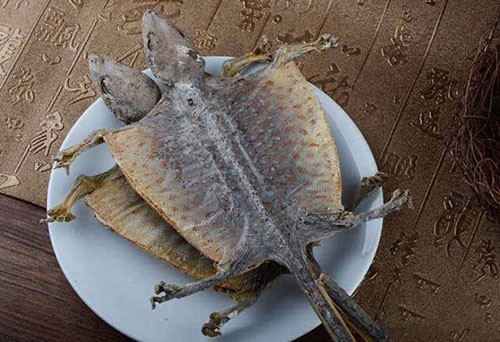 大壁虎（蛤蚧）進(jìn)口代理手續(xù)