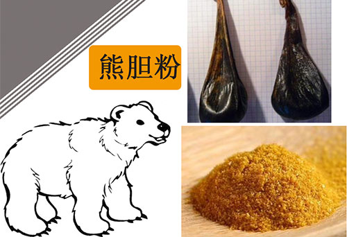 熊膽粉出口手續(xù)代理