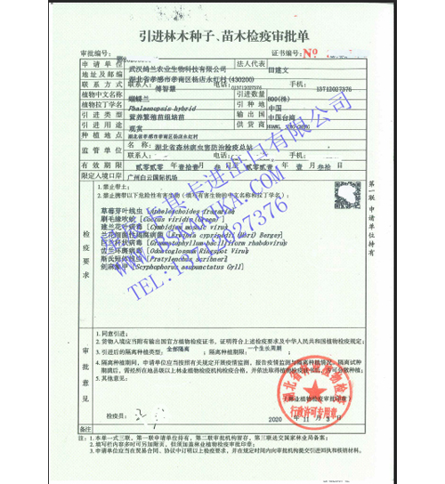 蘭花進(jìn)出口批文代辦手續(xù)