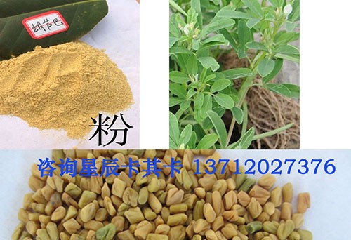 中藥材胡蘆巴籽進(jìn)出口代理