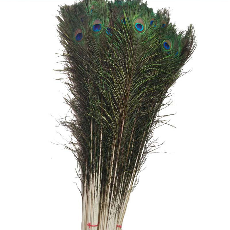 孔雀羽翎進口代理