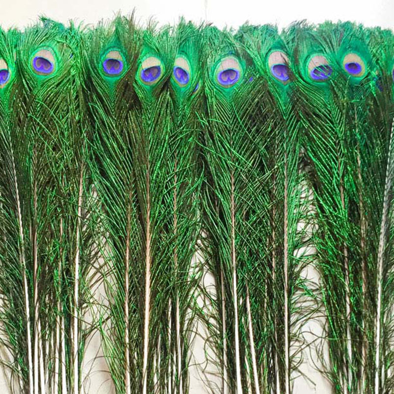 孔雀羽翎進(jìn)口代理