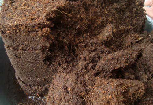 椰糠進(jìn)口手續(xù)代辦