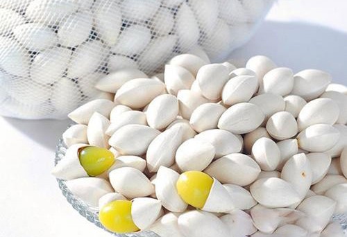 銀杏白果出口代理