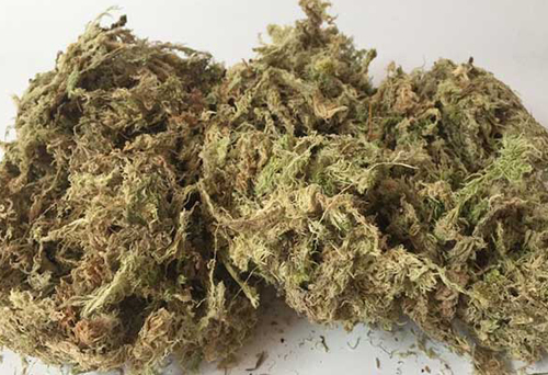 干水苔進(jìn)口手續(xù)代辦