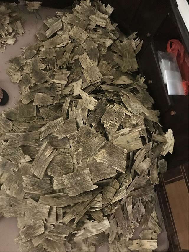 深埋在廣東深山深處的沉香傳統(tǒng)文化