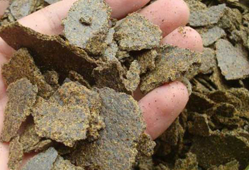 菜籽餅渣進(jìn)口手續(xù)代辦 菜籽餅渣進(jìn)口手續(xù)代辦